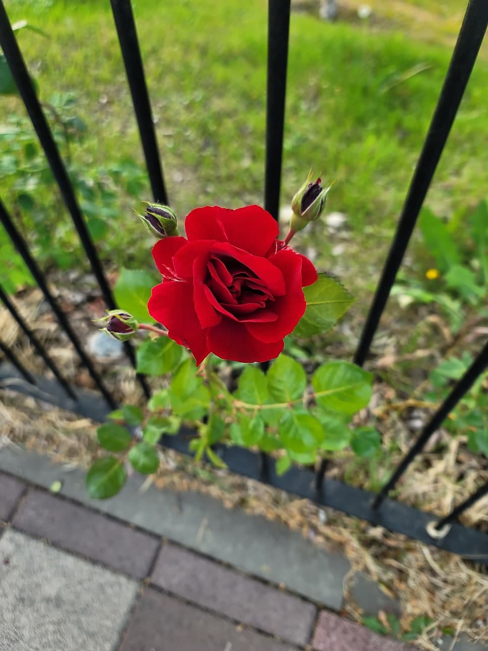 늘벗마을 병점역 센트럴허브시티 신창1차 - 2