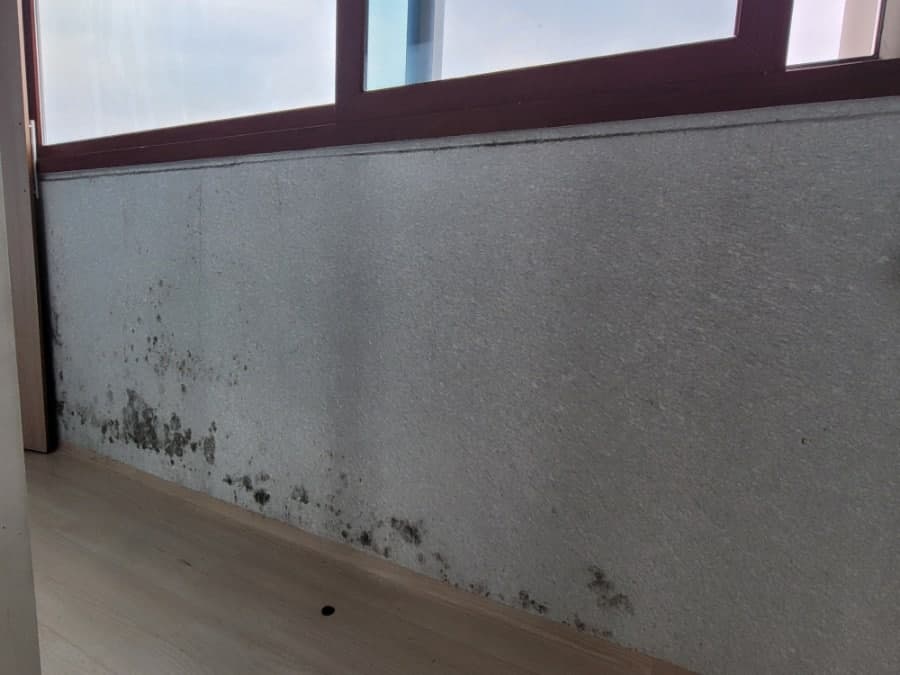 다정마을 신한에스빌1차 - 44