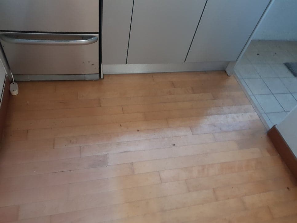 정든마을 신창비바패밀리2차 - 9