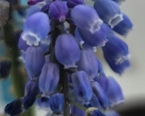 동탄 에코릿지 타운하우스 A타입 - 2