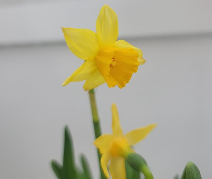 동탄 에코릿지 타운하우스 A타입 - 3