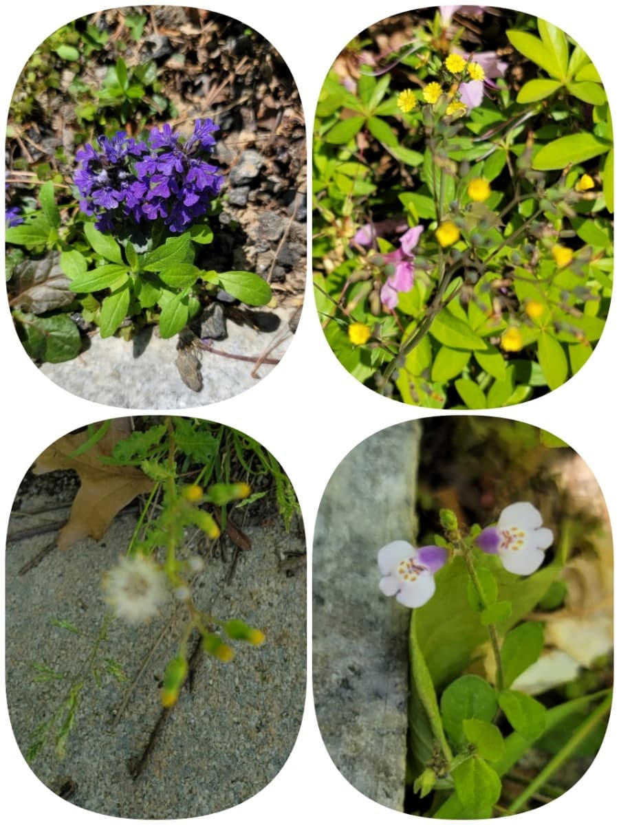 푸른마을 신일해피트리 - 1