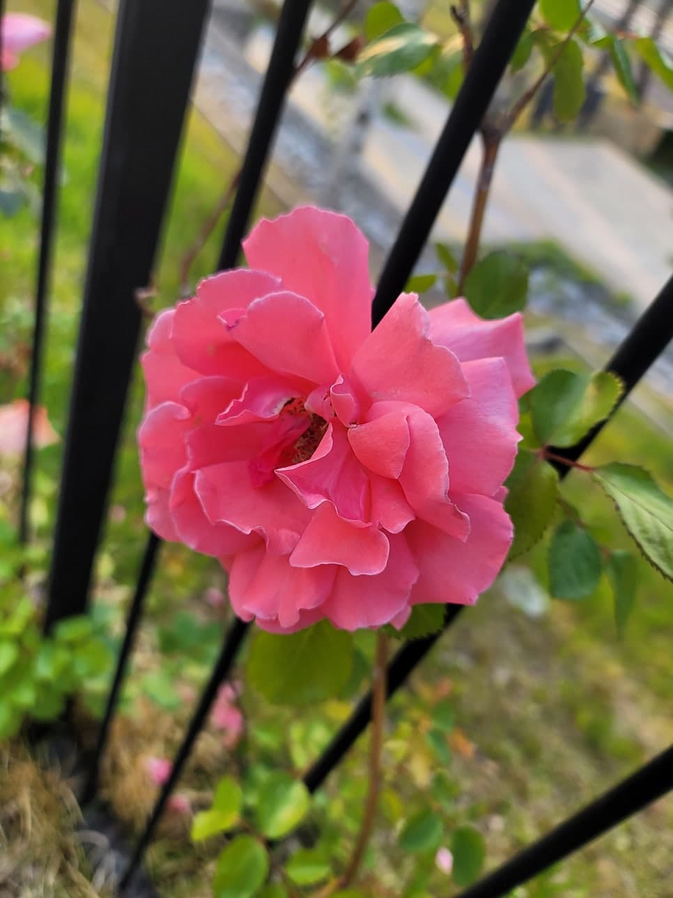 늘벗마을 병점역 센트럴허브시티 신창1차 - 6