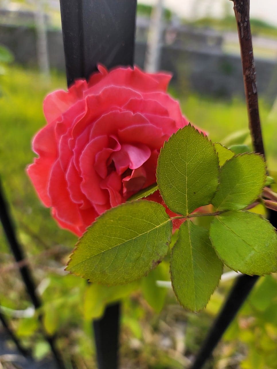 늘벗마을 병점역 센트럴허브시티 신창1차 - 4