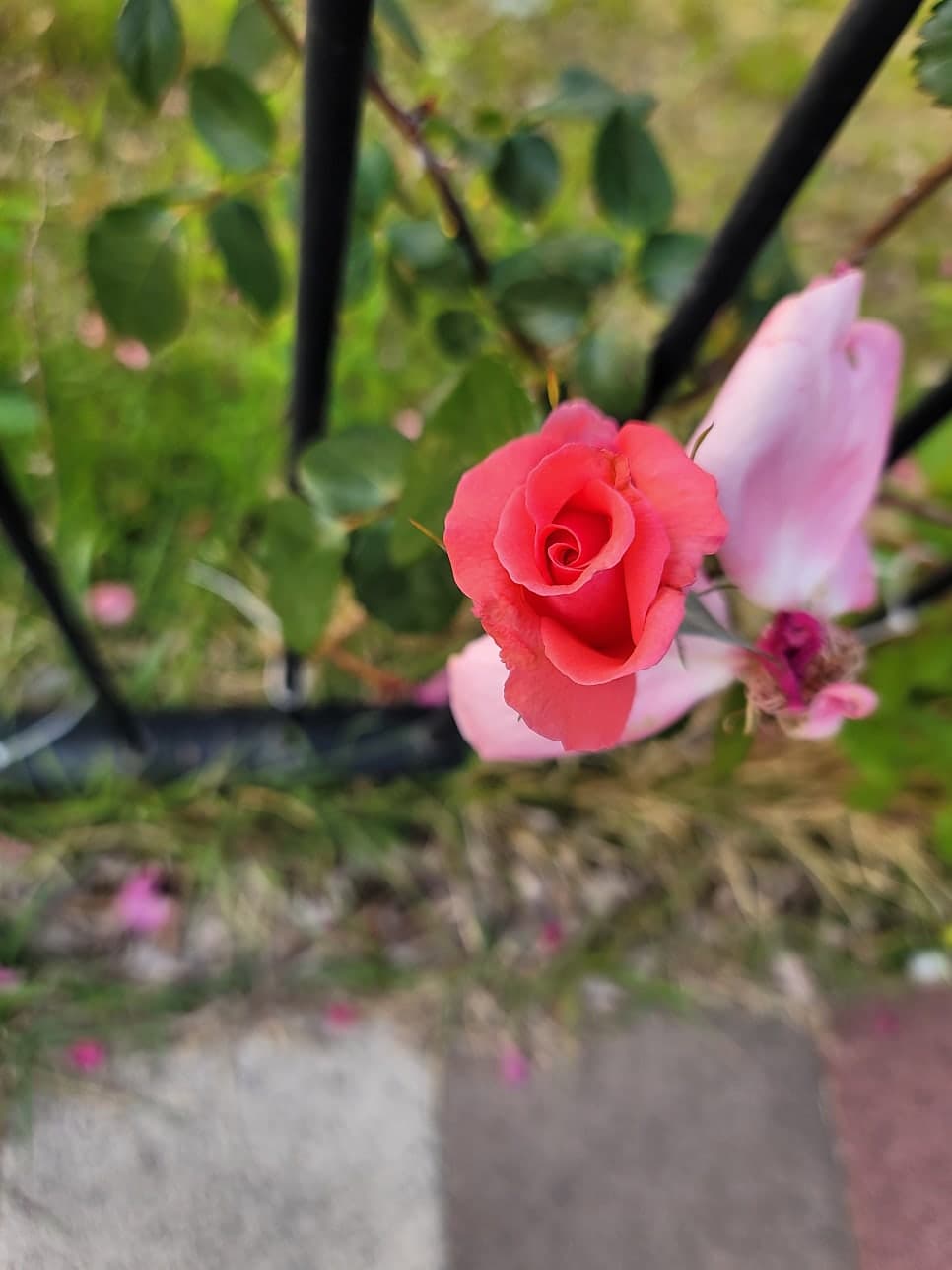 늘벗마을 병점역 센트럴허브시티 신창1차 - 7