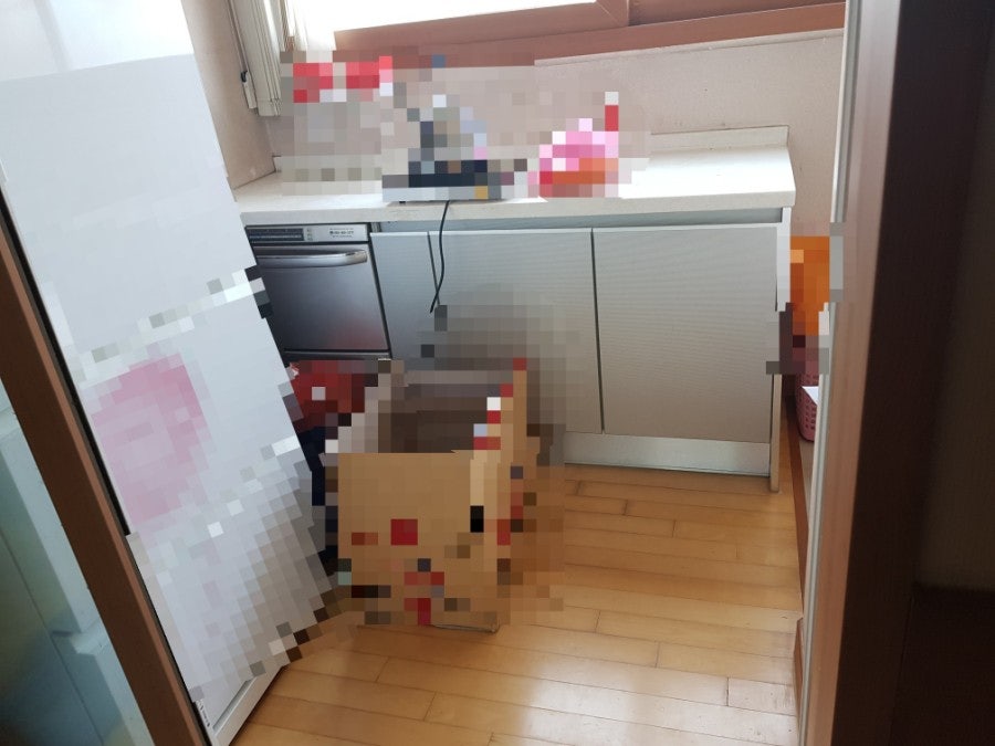 정든마을 신창비바패밀리2차 - 10