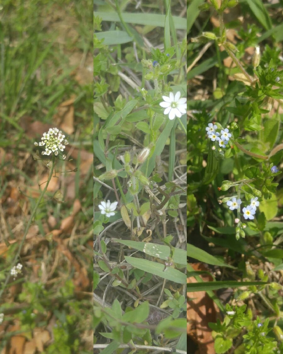 서동탄역 우남퍼스트빌 - 1