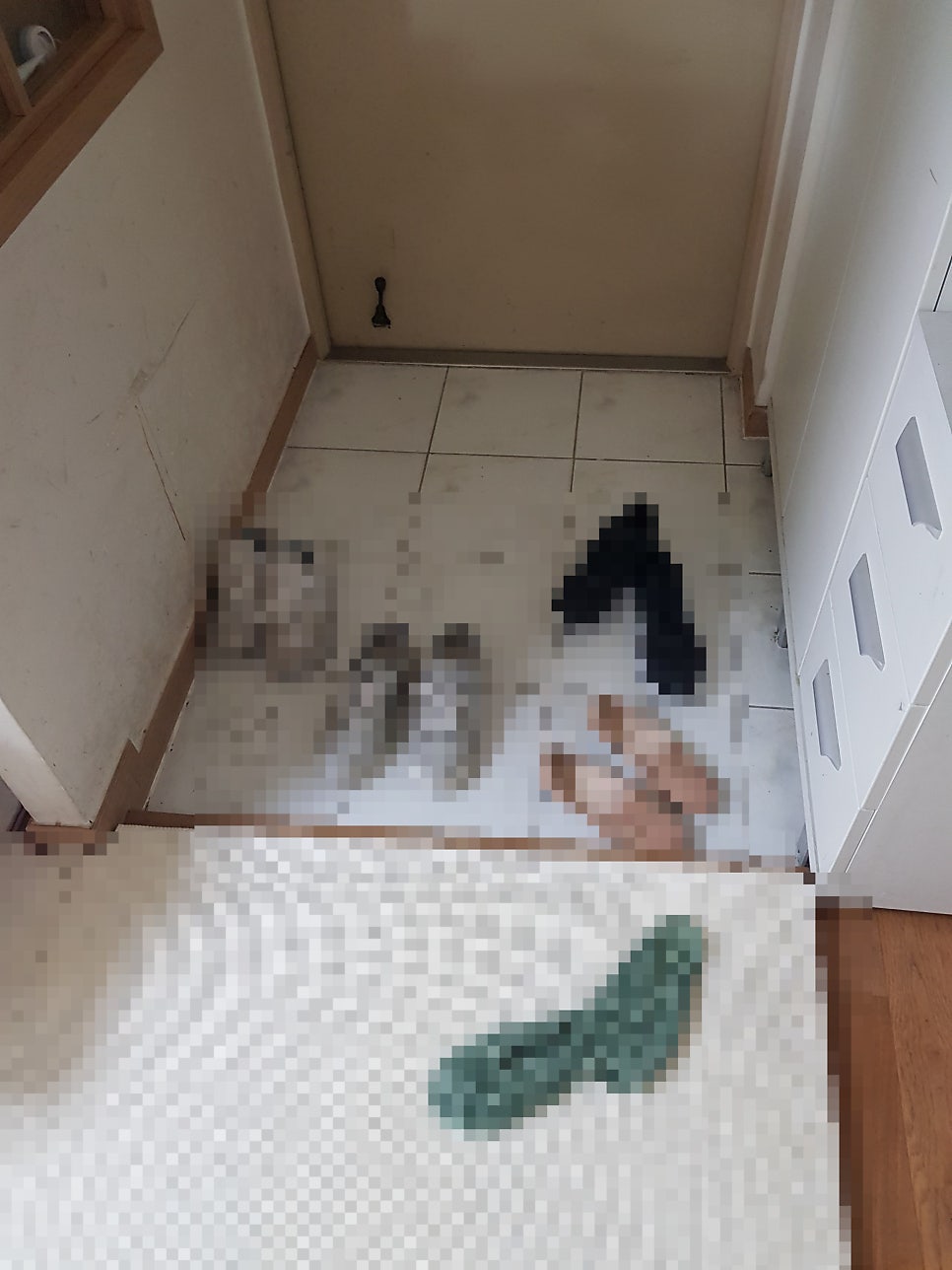 진안골마을 병점주공10단지 - 1